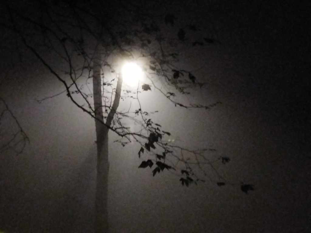 ilustración cortinadeagualuz