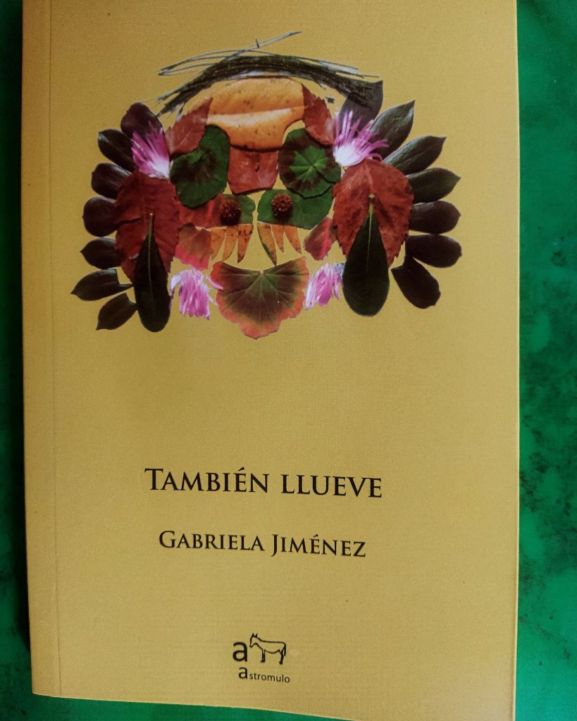 ilustrar la portada Gabriela Jiménez, También llueve, editorial Astromulo